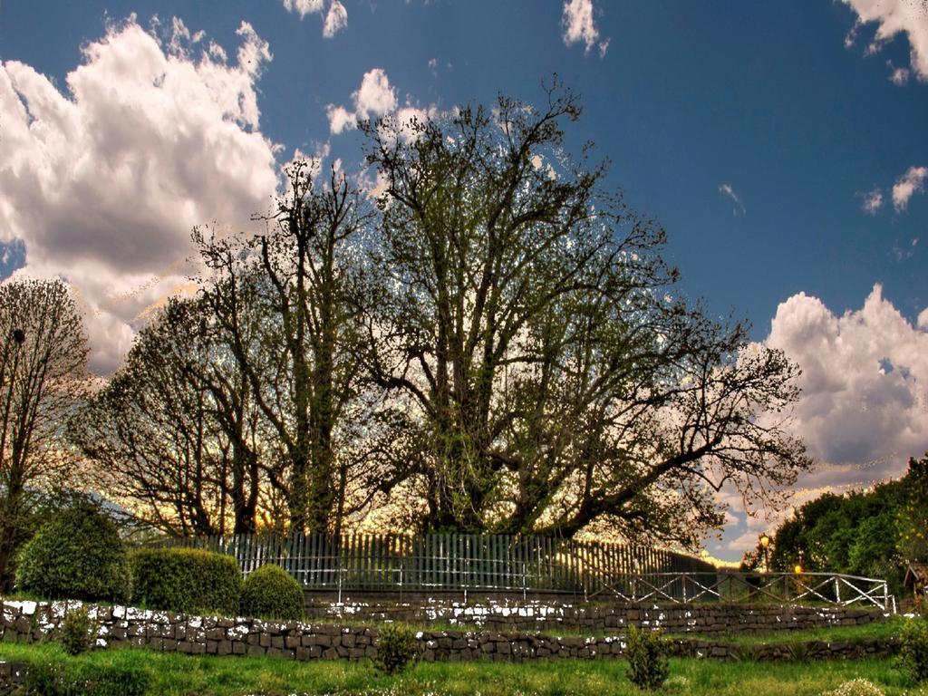 Etna Dimora Dei Saponari Villa Trecastagni Exterior foto
